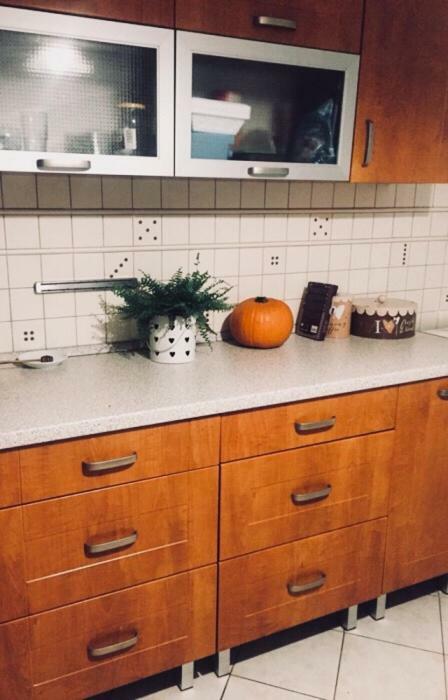 Apartament Swobodna Sosnowiec Dış mekan fotoğraf